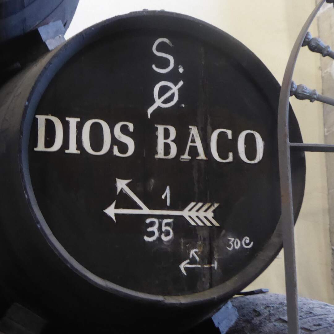 JEREZ 2022
