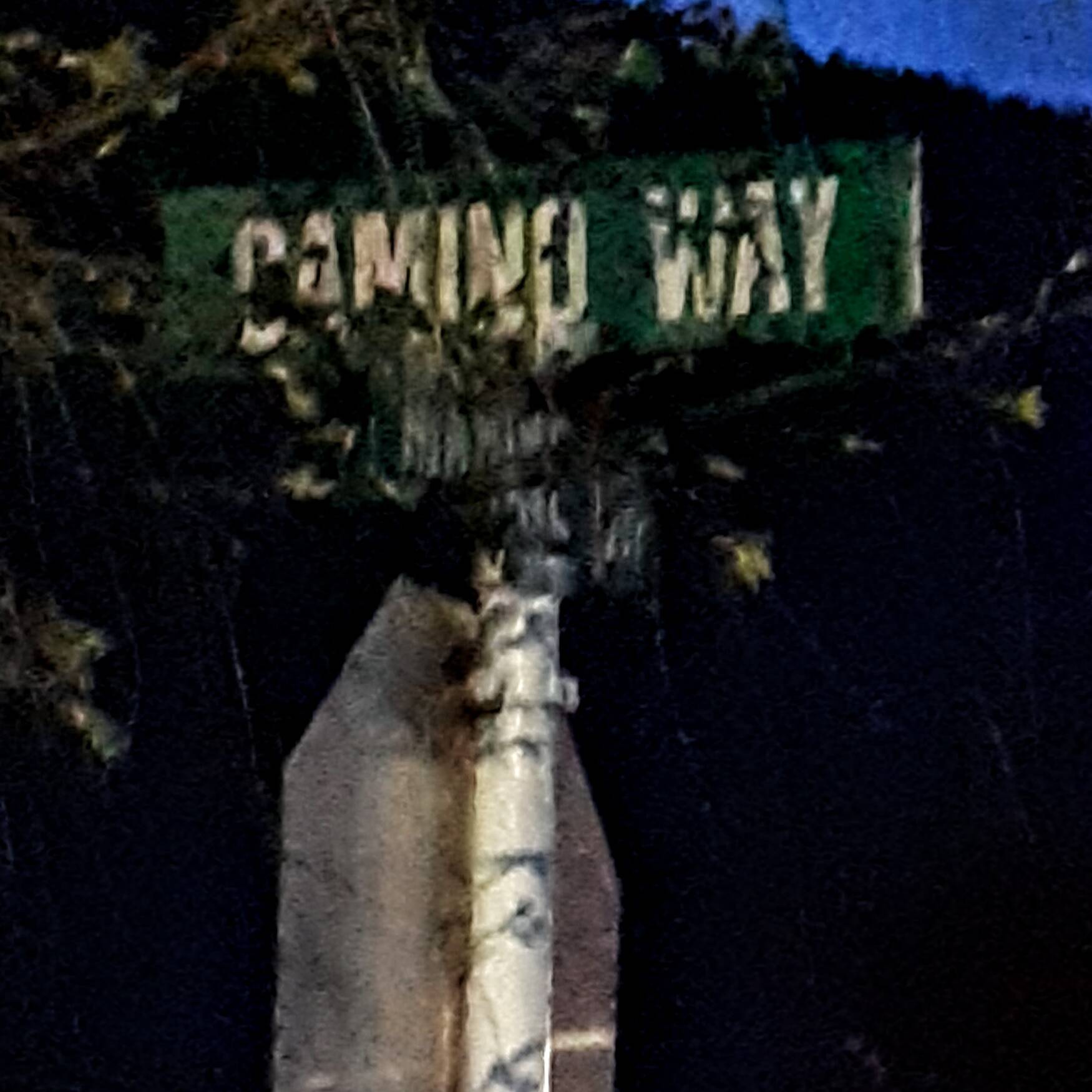 Camino Portugese
