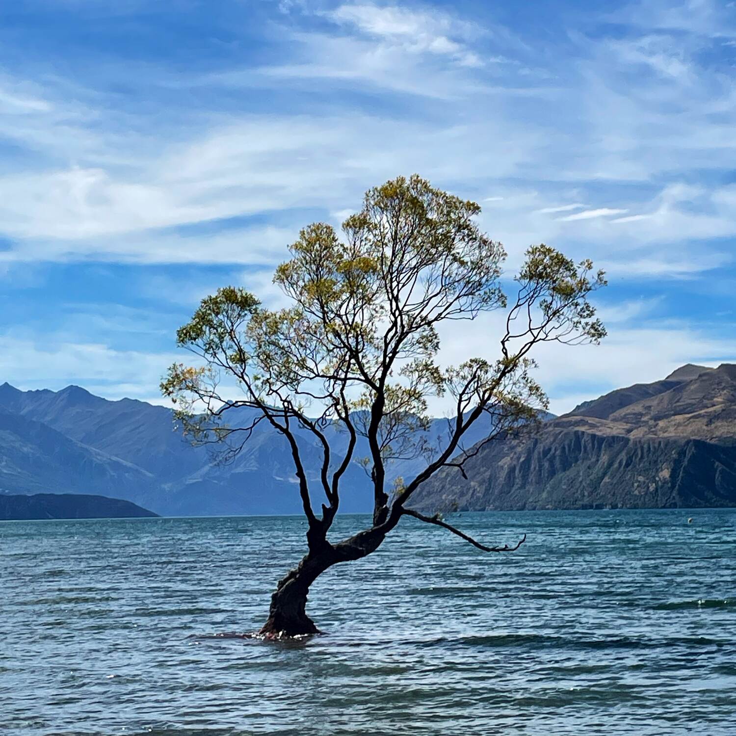 Neuseeland