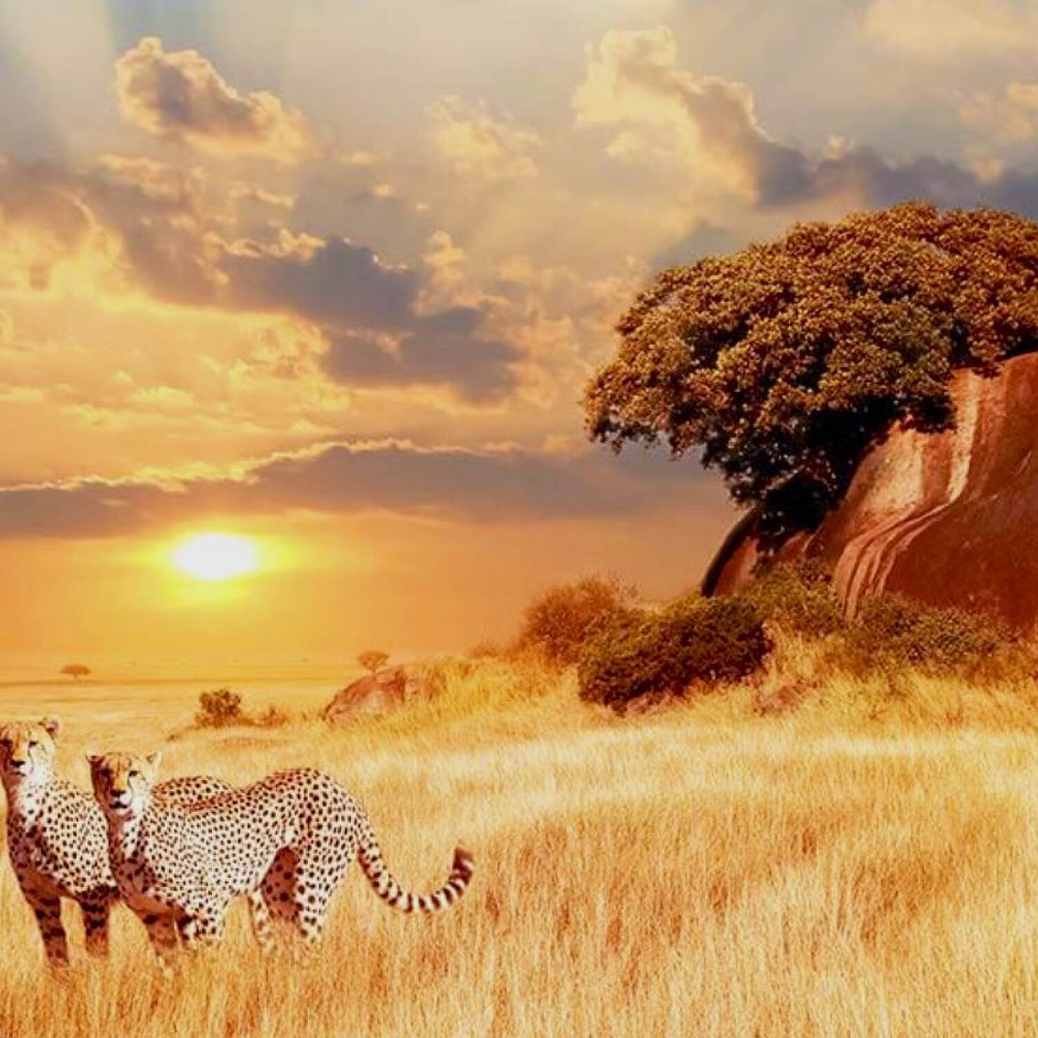 Roadtrip durch Südafrika 🇿🇦