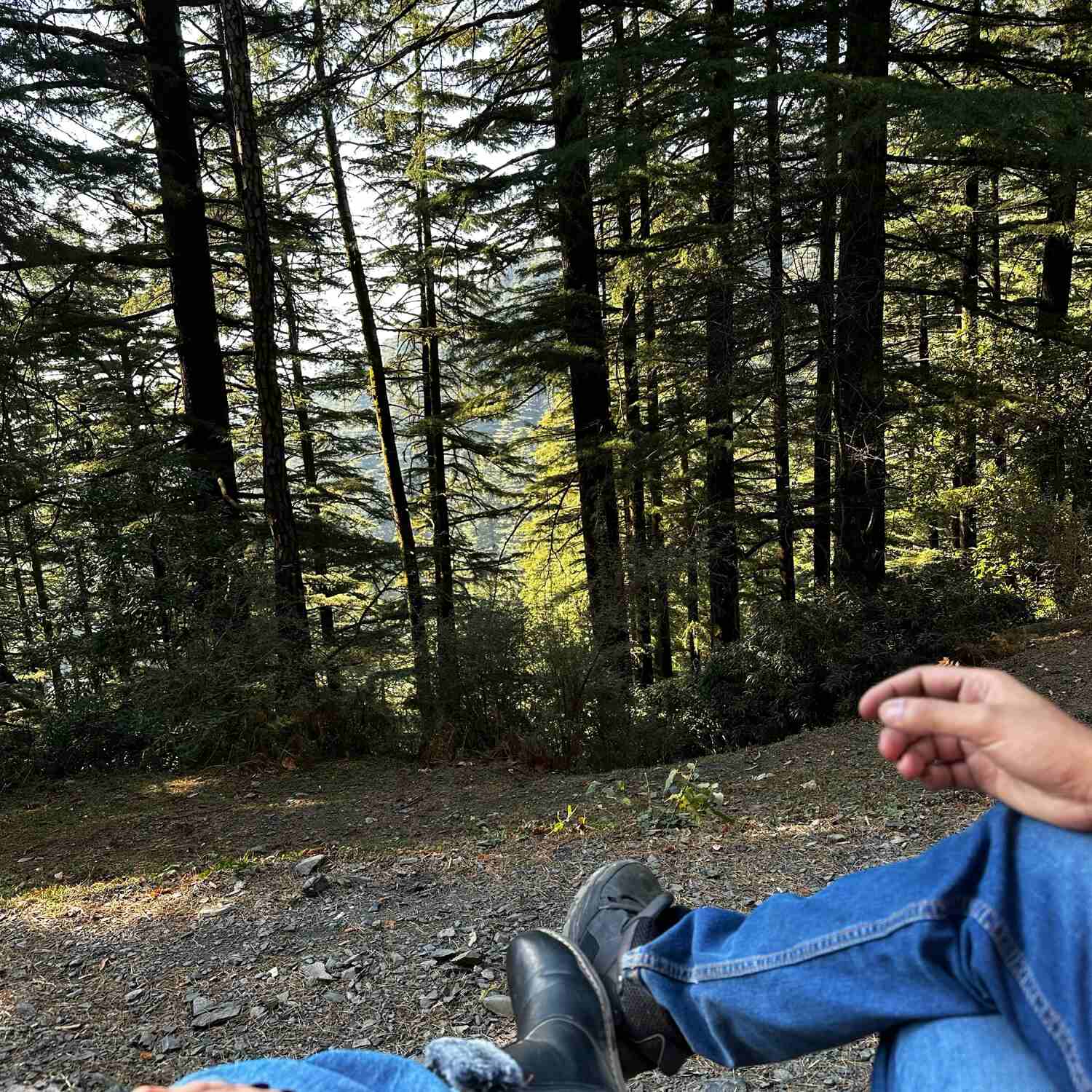 Himalayan NY Adventure