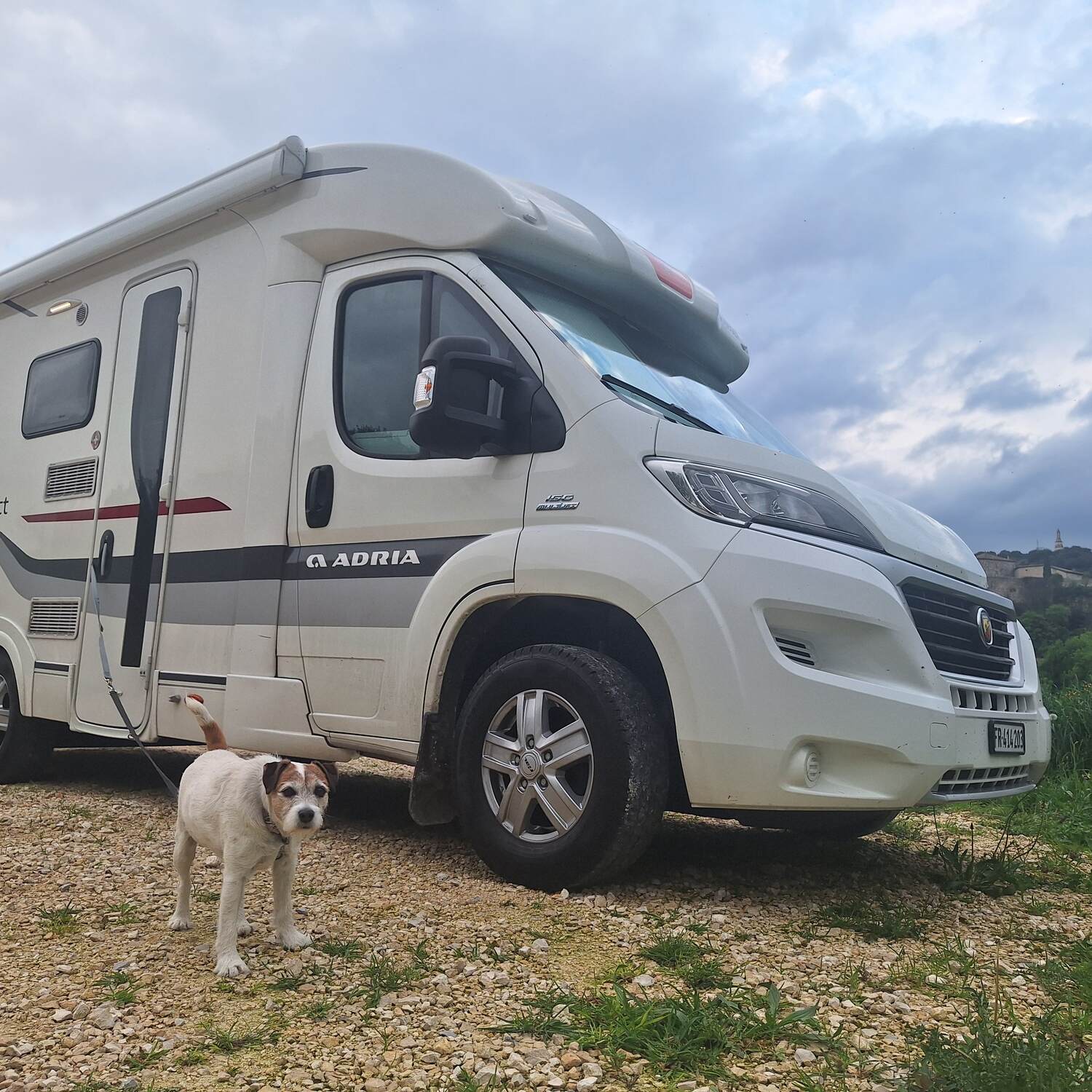 À la rencontre de Freddysaurus