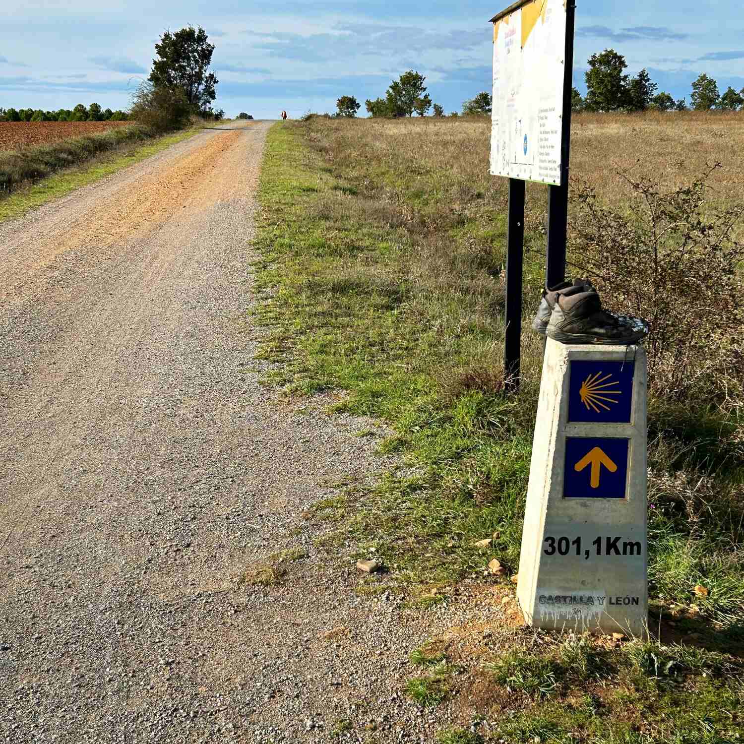 Camino 2023