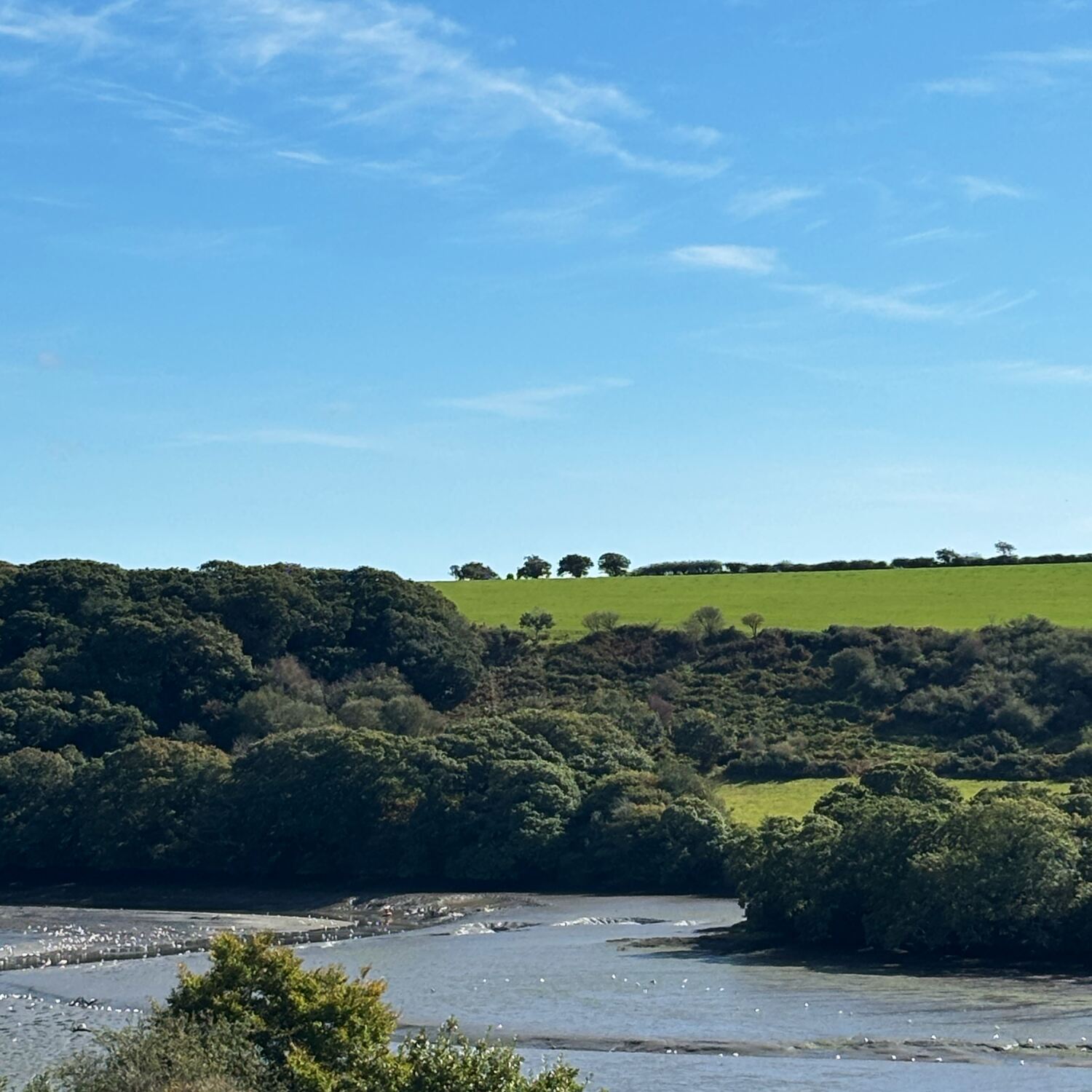Treehouse in Cornwall