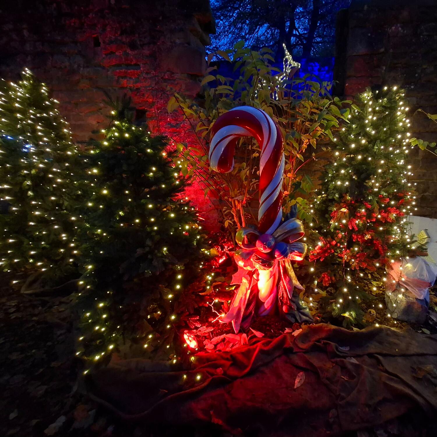 Weihnachtsm Limburg 16. 11.25