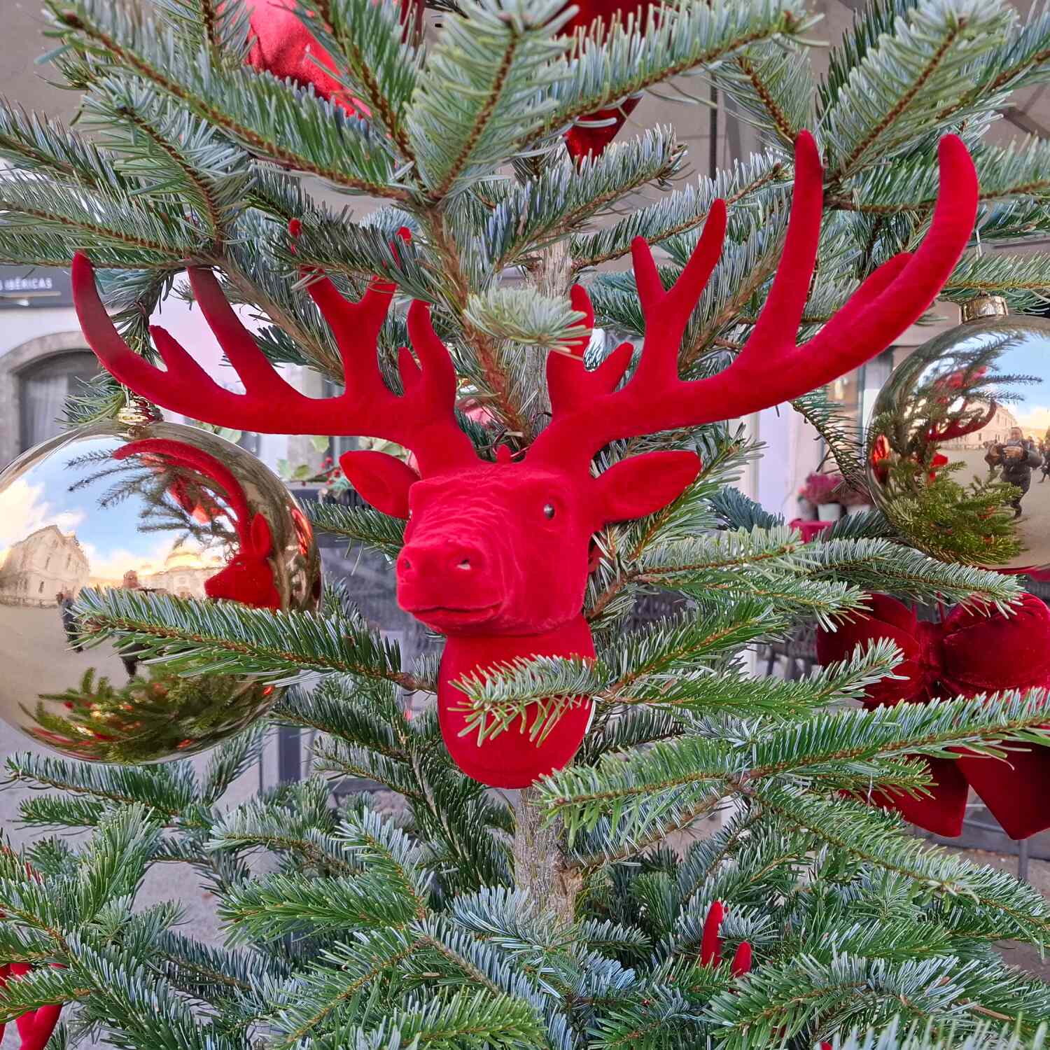 Adventszauber 13.12.2025