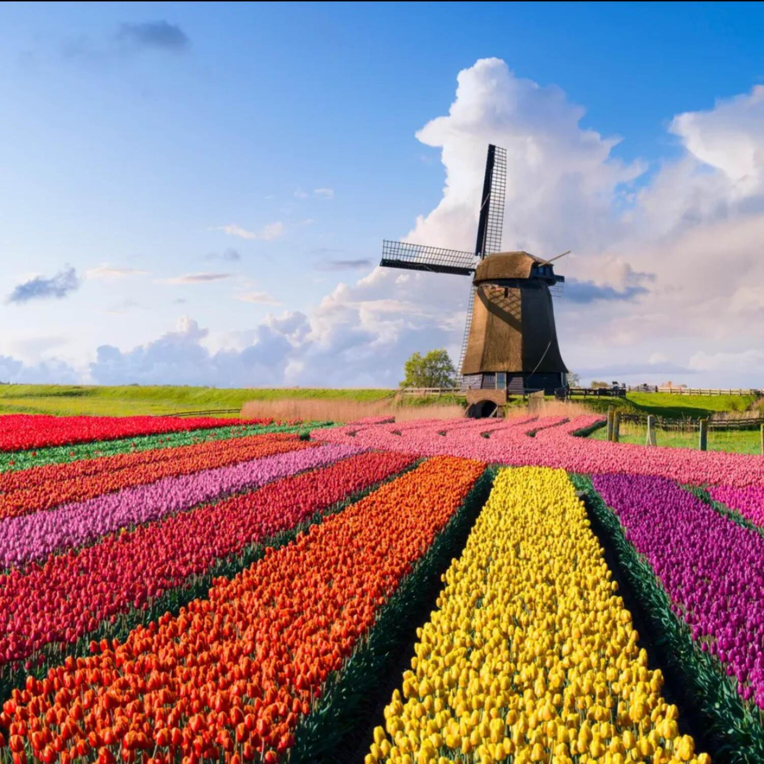 Holland