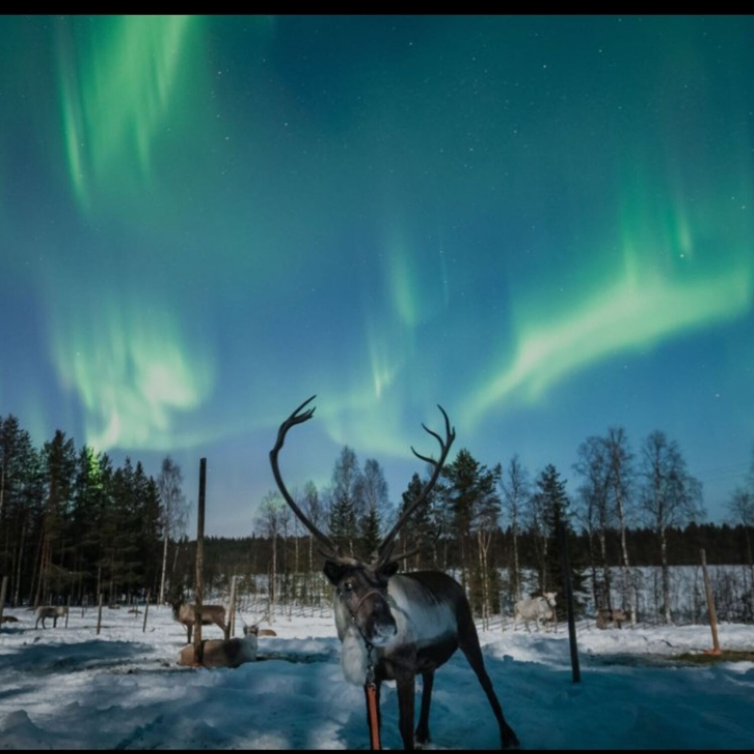 Polarlichtexpress