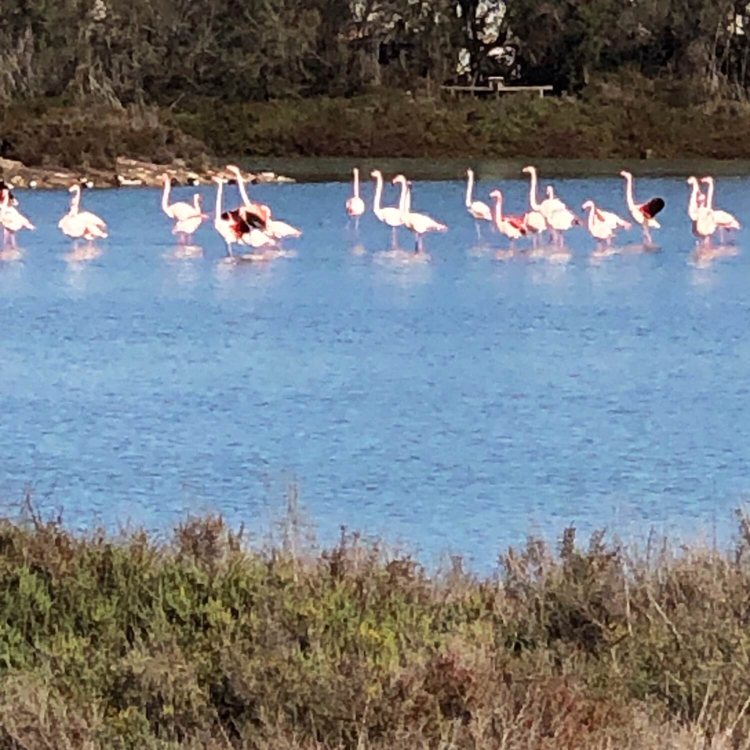 Camping Bahia Santa Pola
