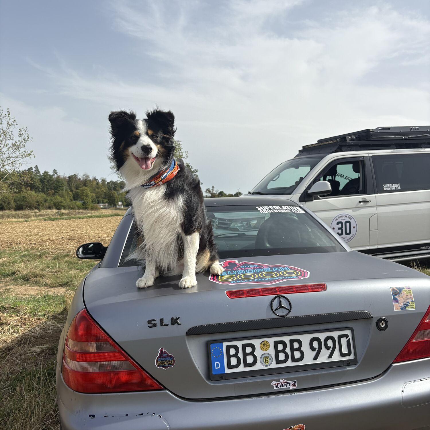 European 5000