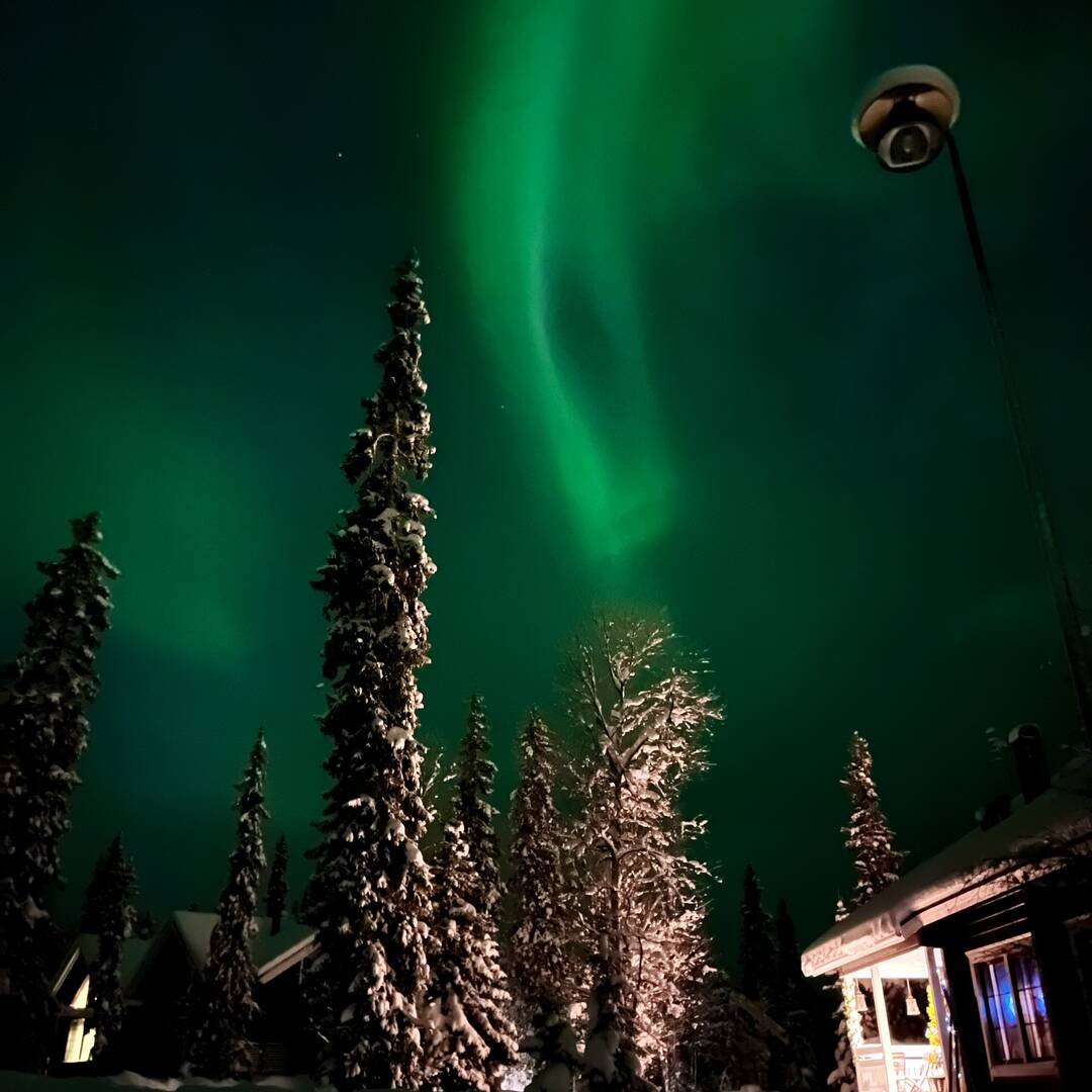 Winter Wonderland