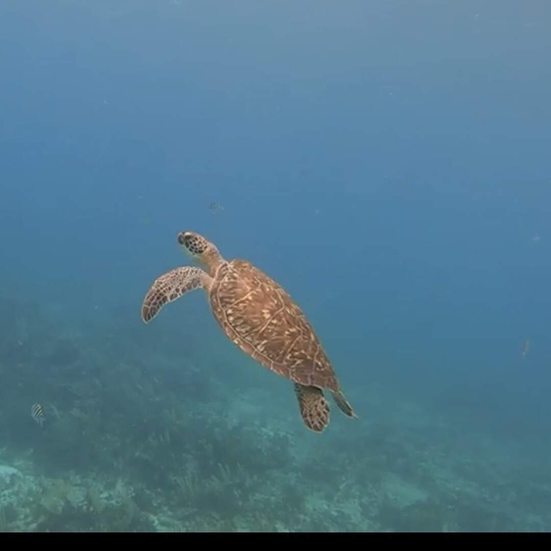 Yucatan, Mexiko