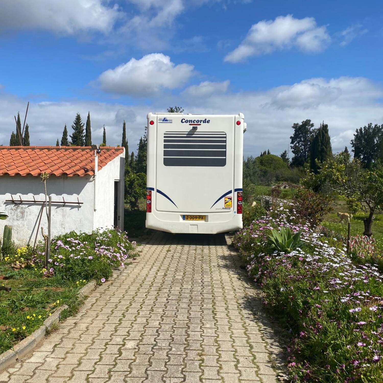 Concordinha para casa