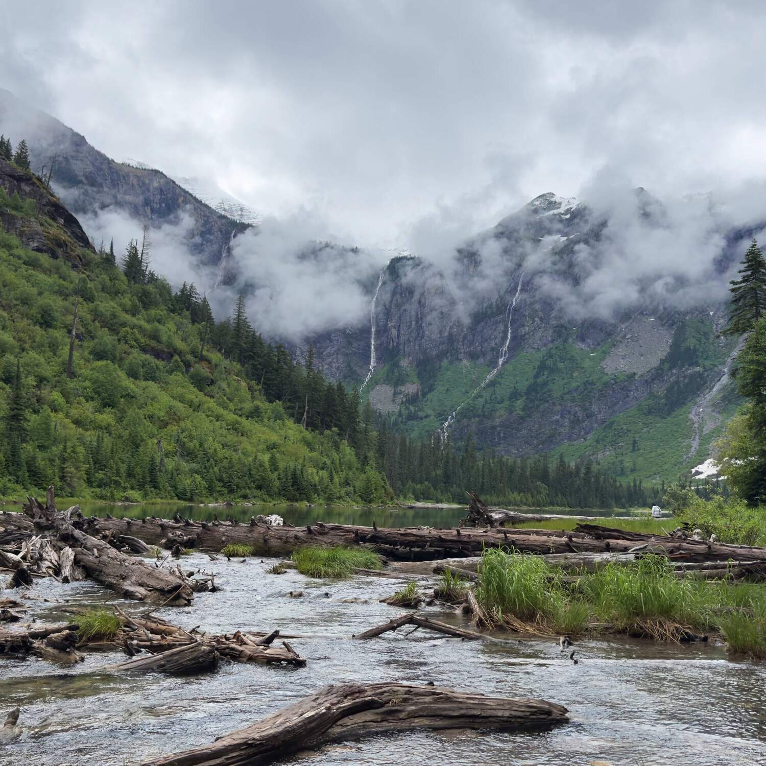 Glacier & Charleston 2025