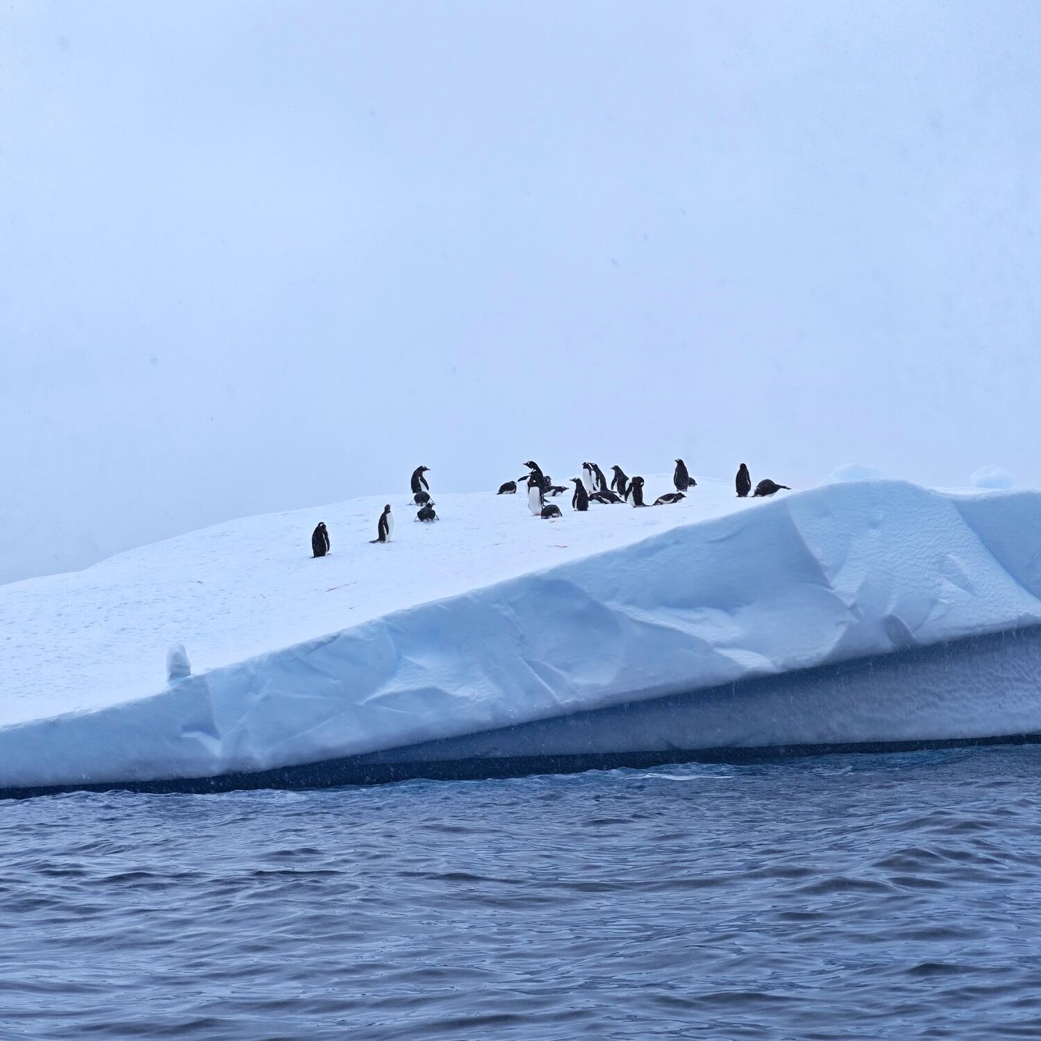 Antarctica_III_2025_三赴南极