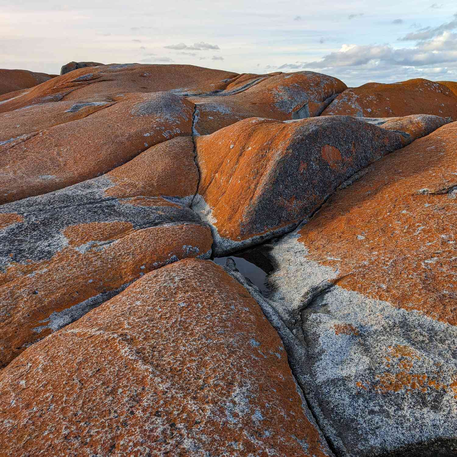 Tasmanian East Coast