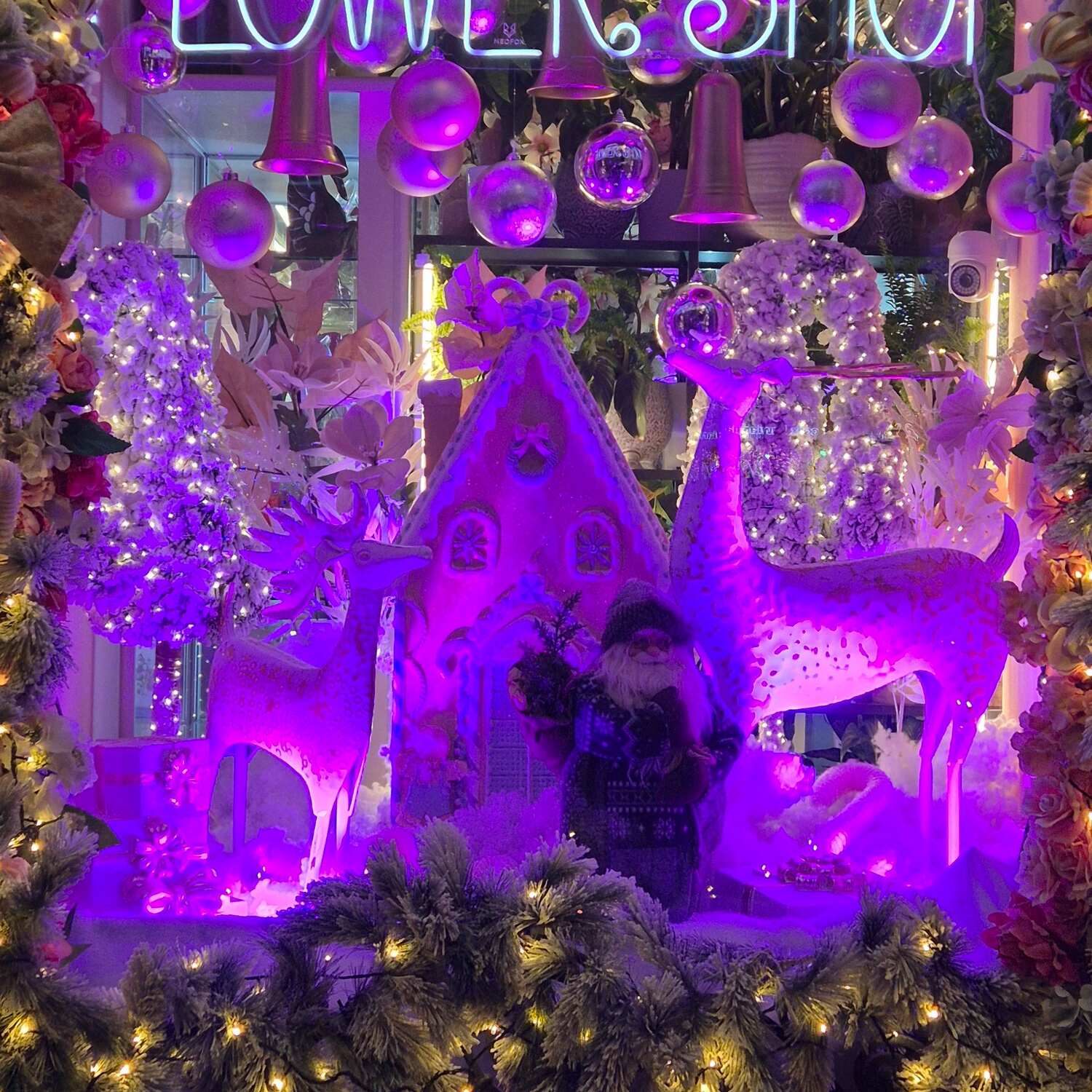 Zum Weihnachtsmarkt nach Posen