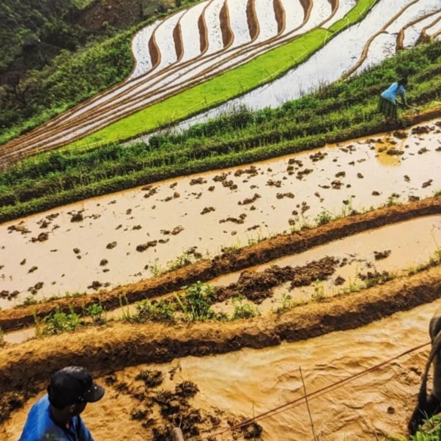 Vietnam