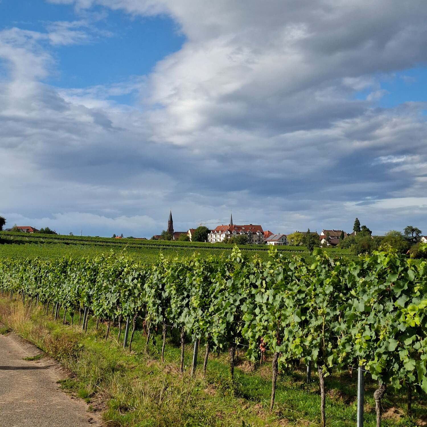 Pfalz & Elsass