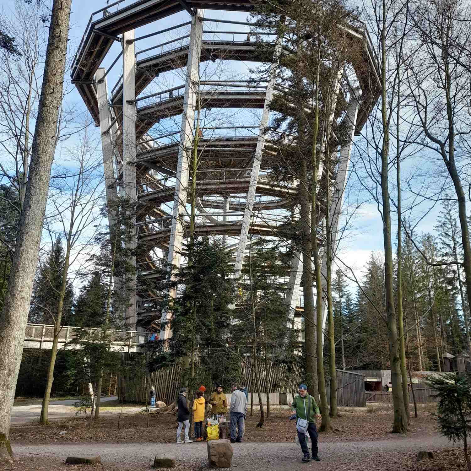 Baumwipfelpfad