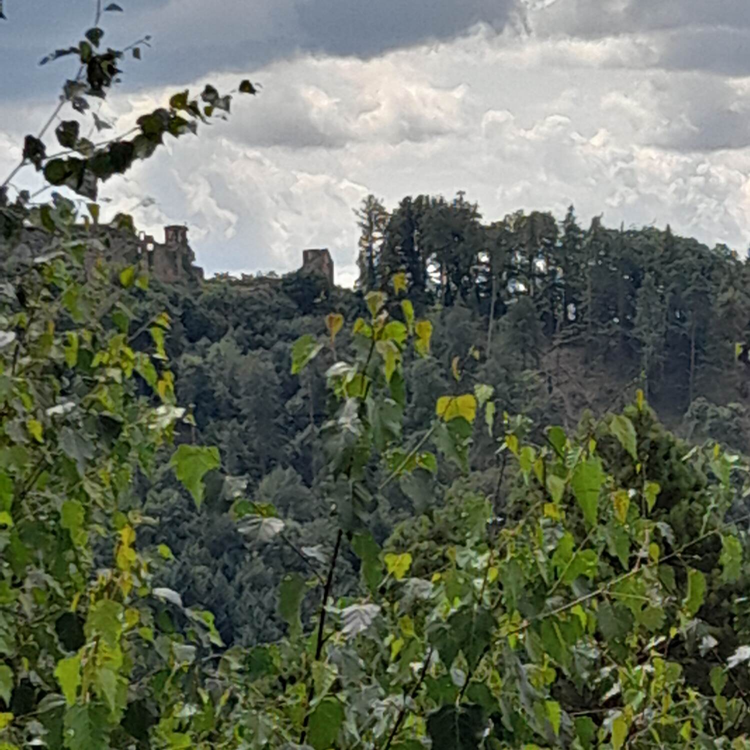 Dernbach - 5 Burgen Blick