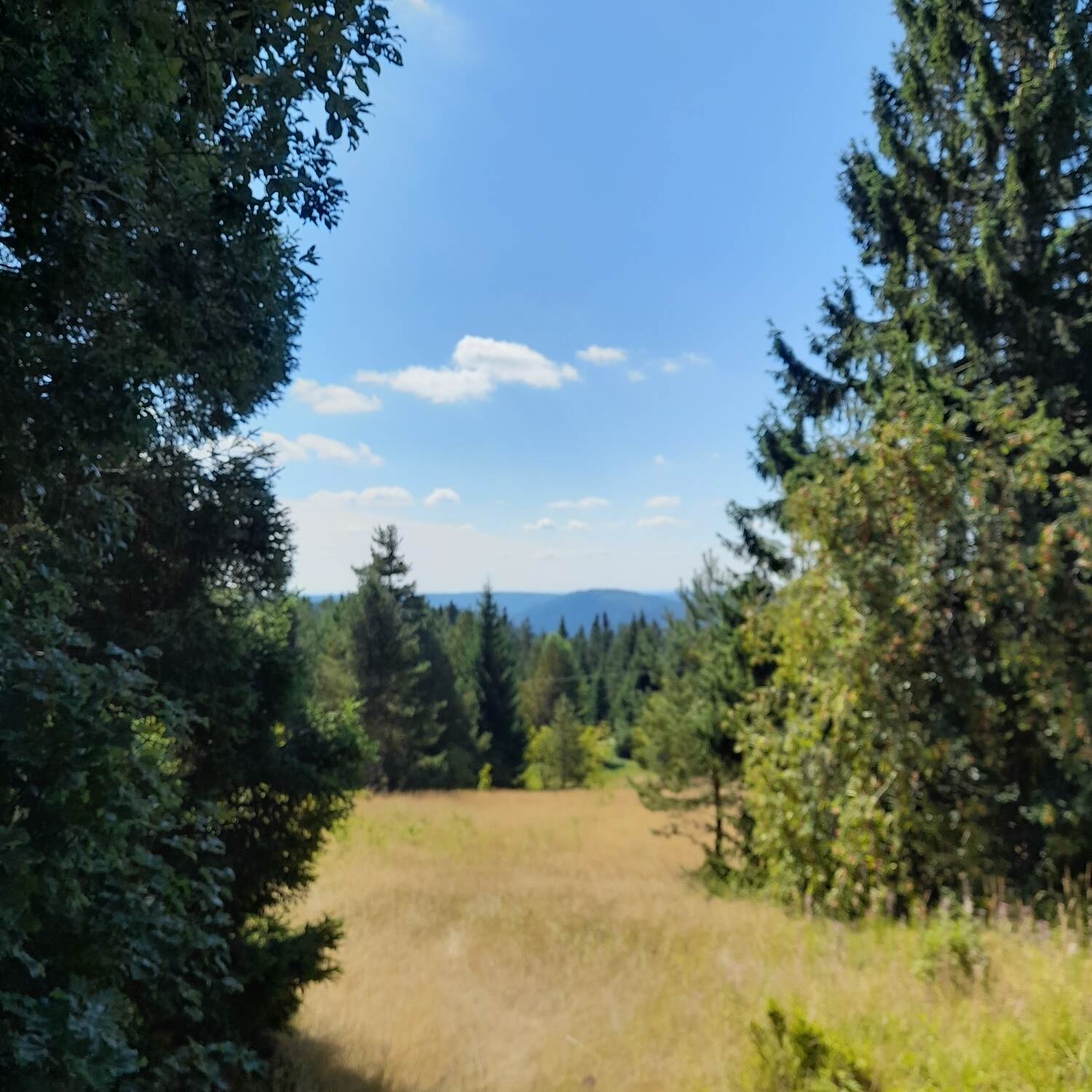 Kniebiser Heimatpfad