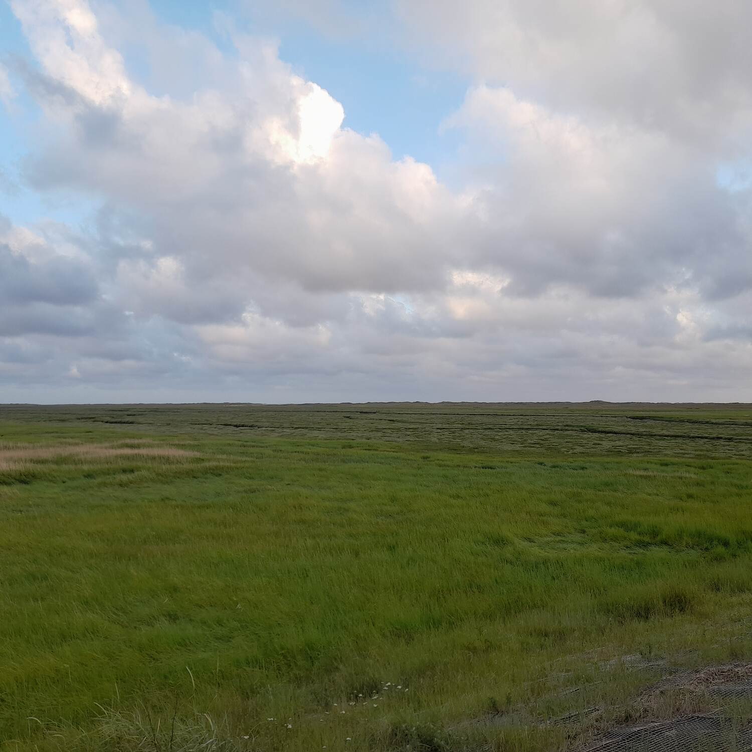 St. Peter Ording