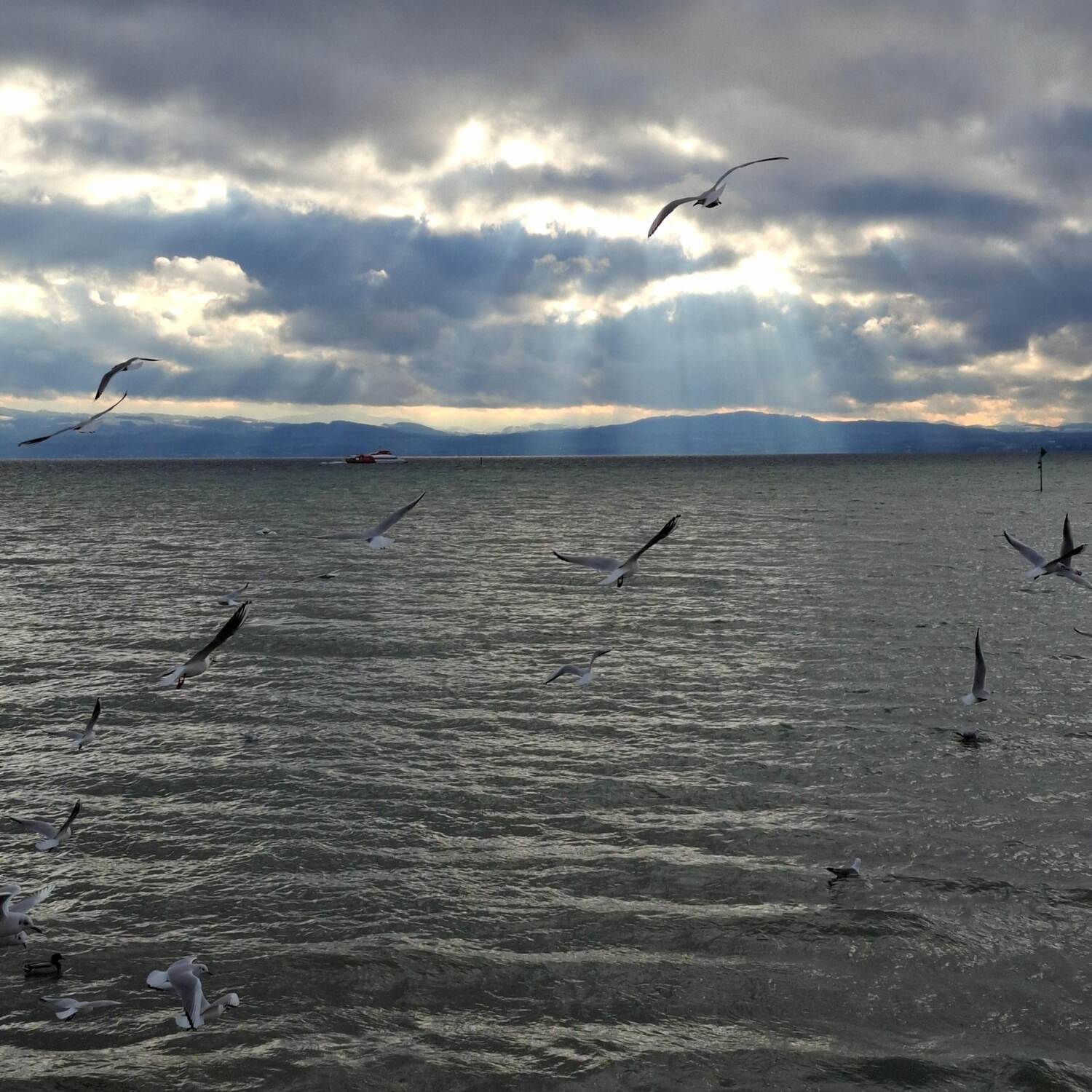 Bodensee 2024