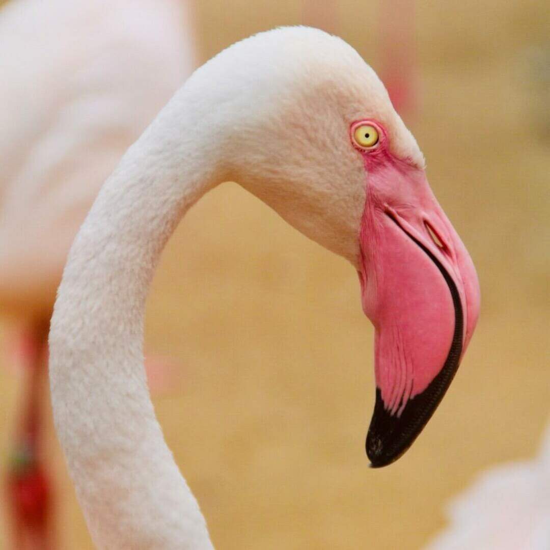 Zoo Erfurt