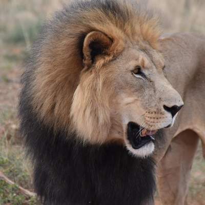 Namibia 2016