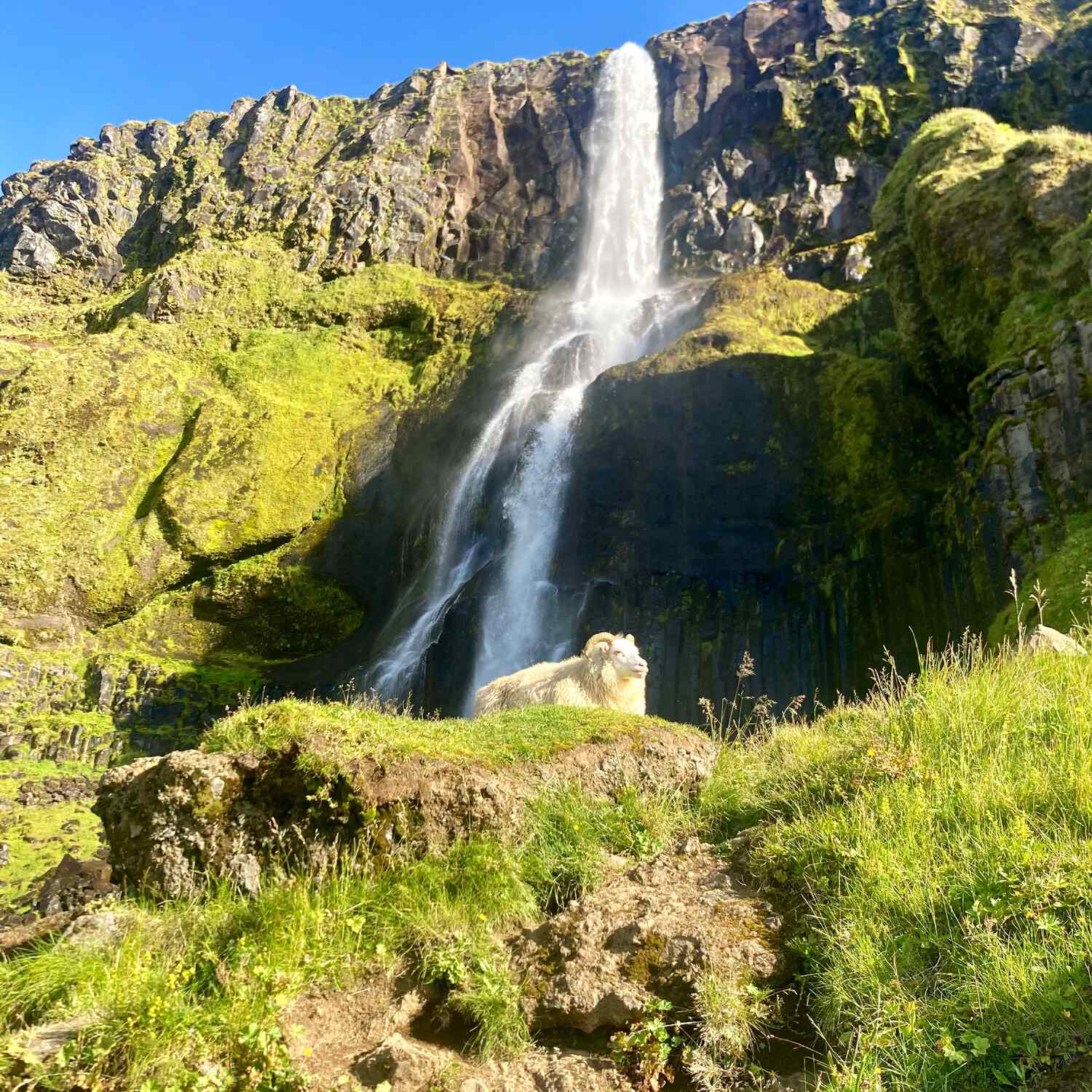 🇮🇸 Island 2024 🇮🇸
