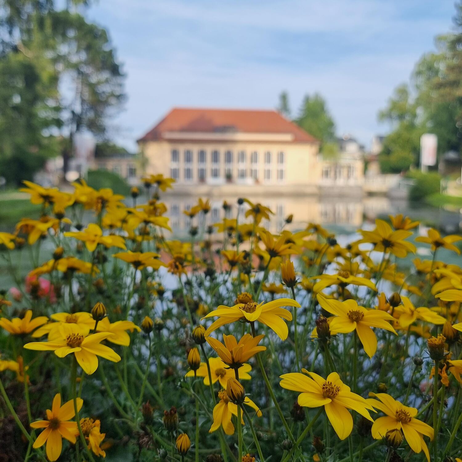 Bad Brambach und Tschechien