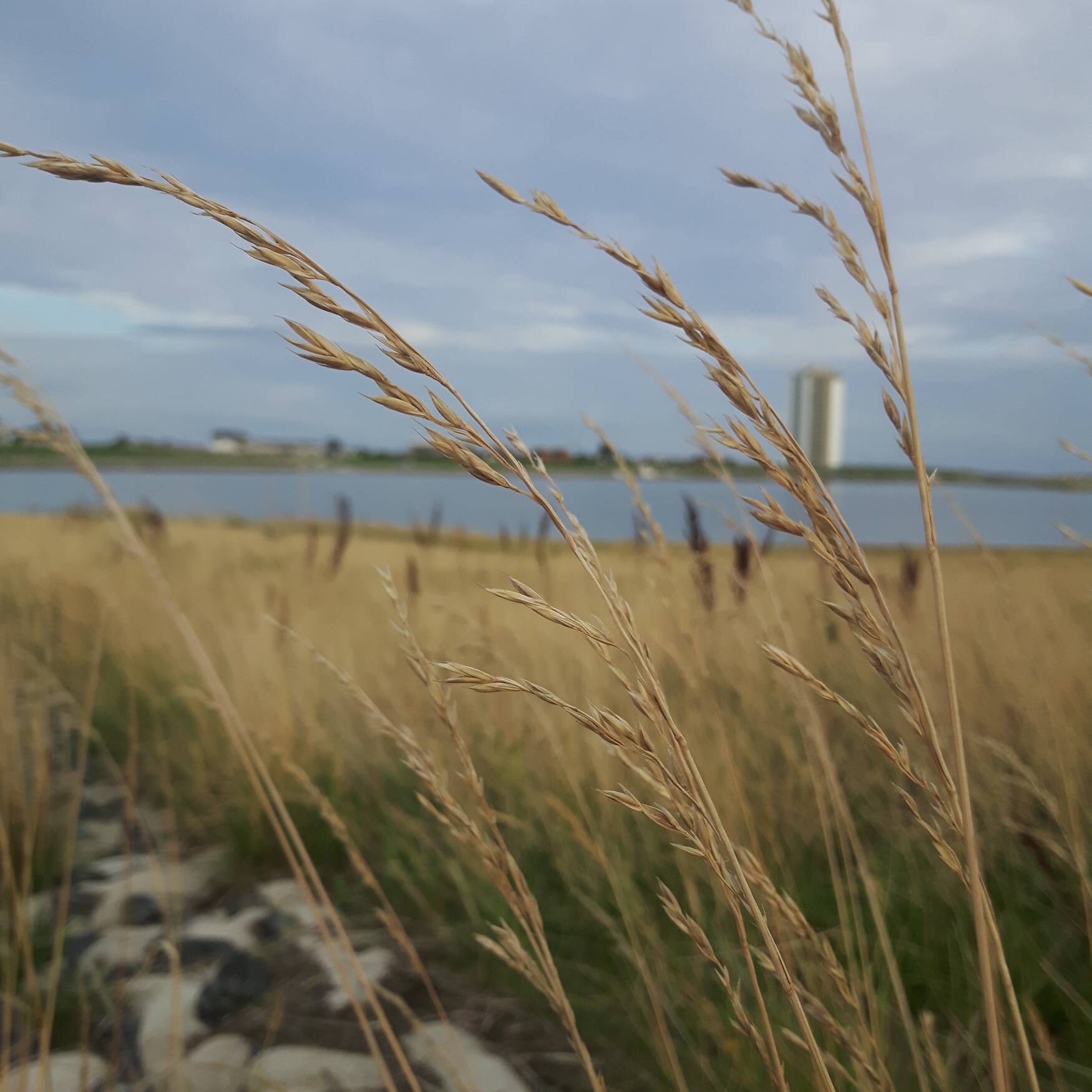 Exploring Northern Germany