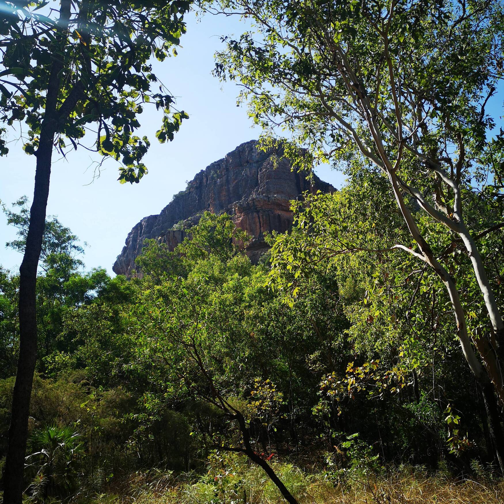 My Time in Down Under