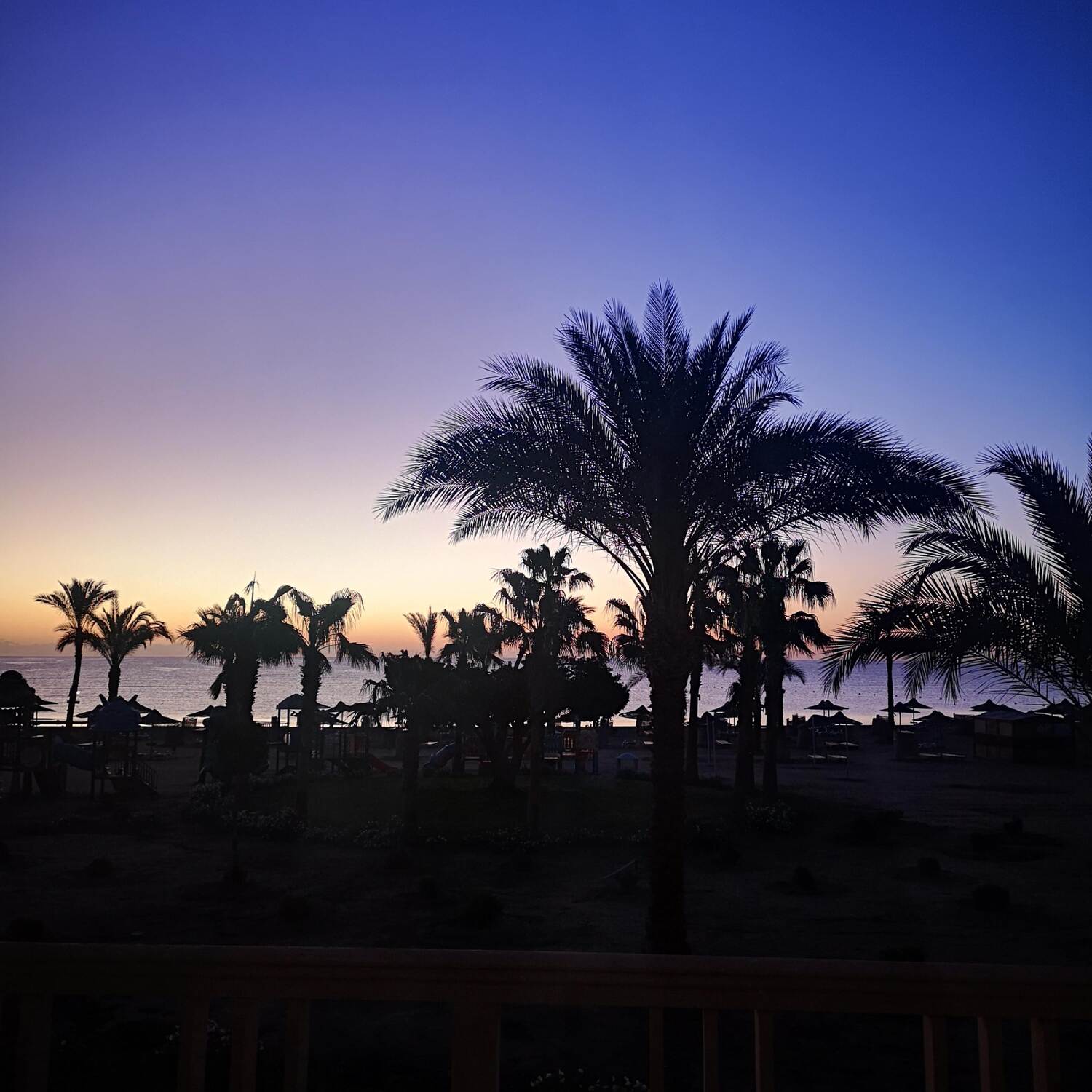 Egypt - Snorkel Paradise