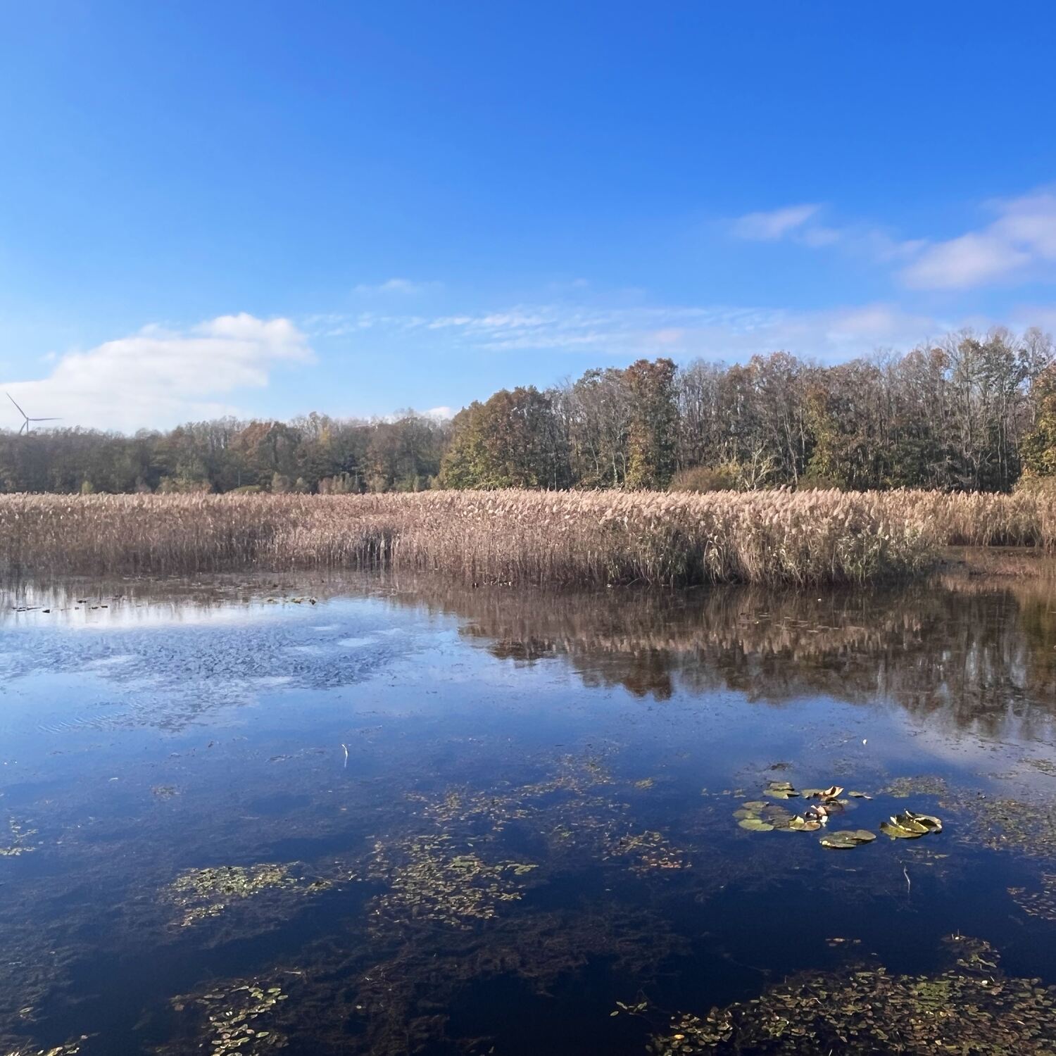Danamandıra Tabiat Parkı