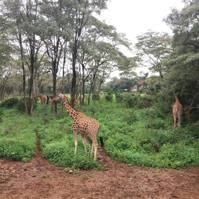 Kenia und Sansibar