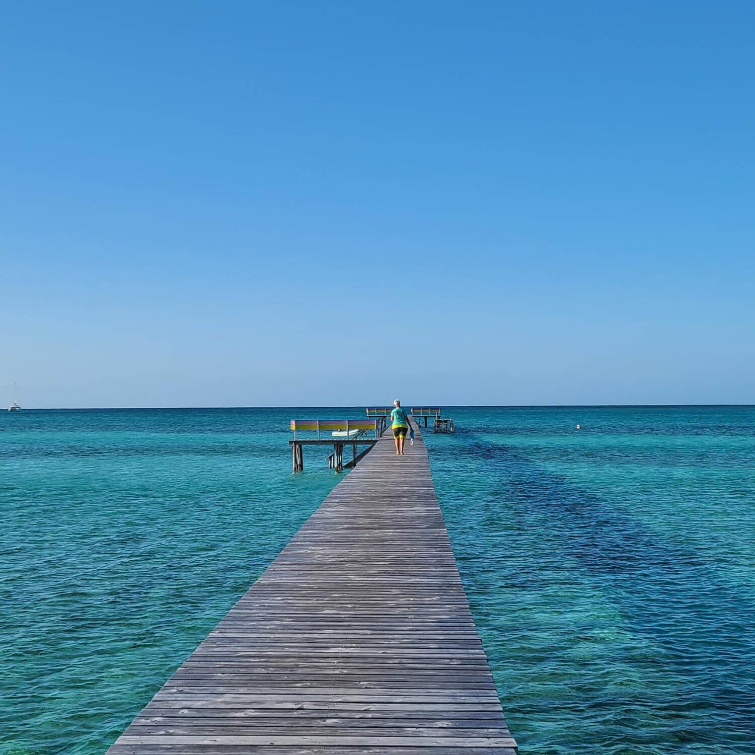 Bahamas Abacos 2024