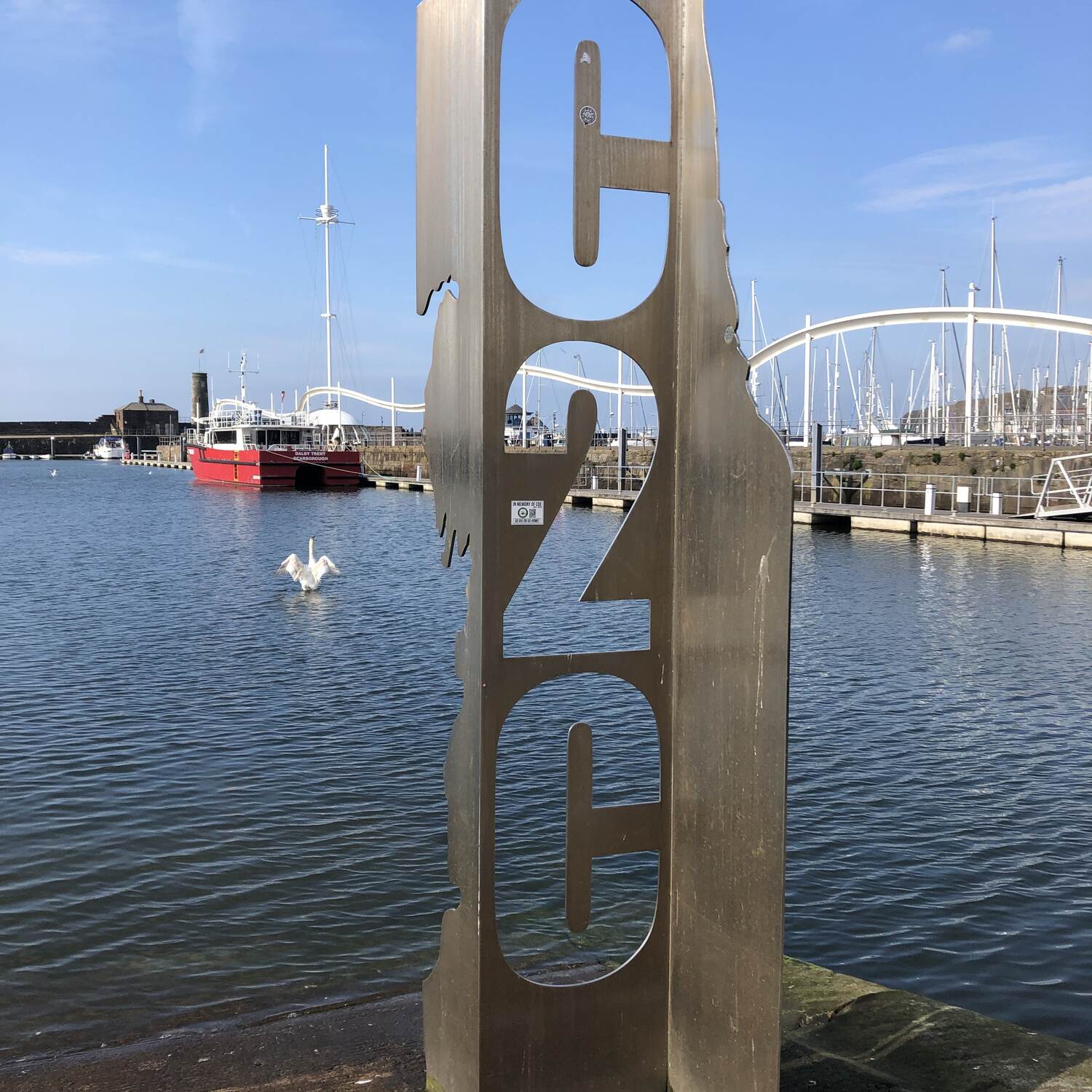 C2C2C