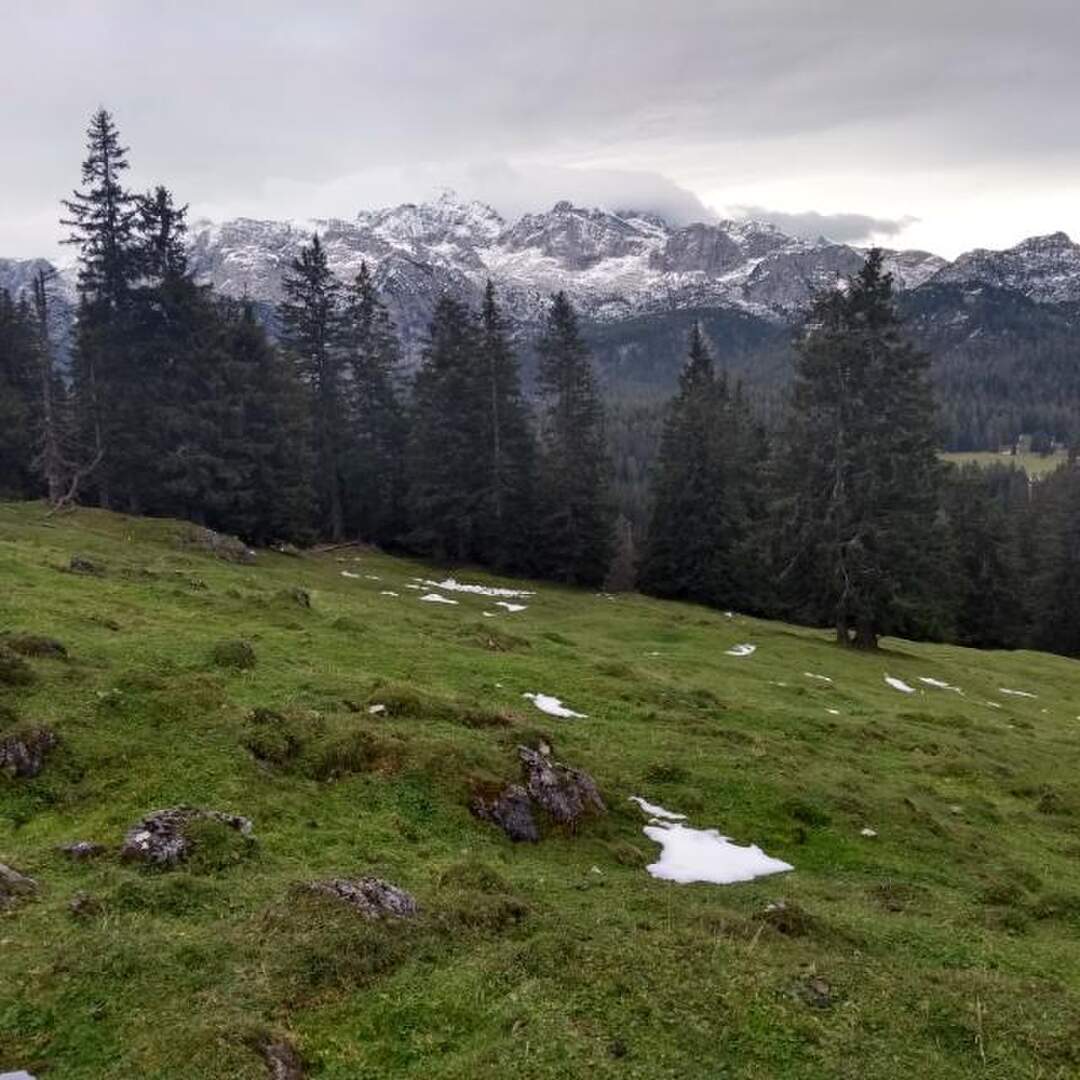 Kleine Tour durch Österreich