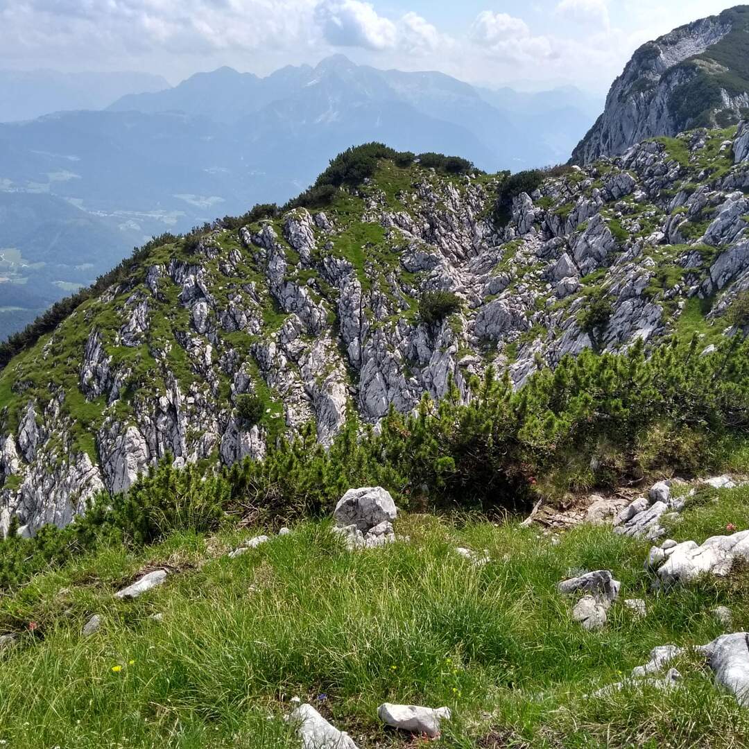 Mein Leben in den Alpen