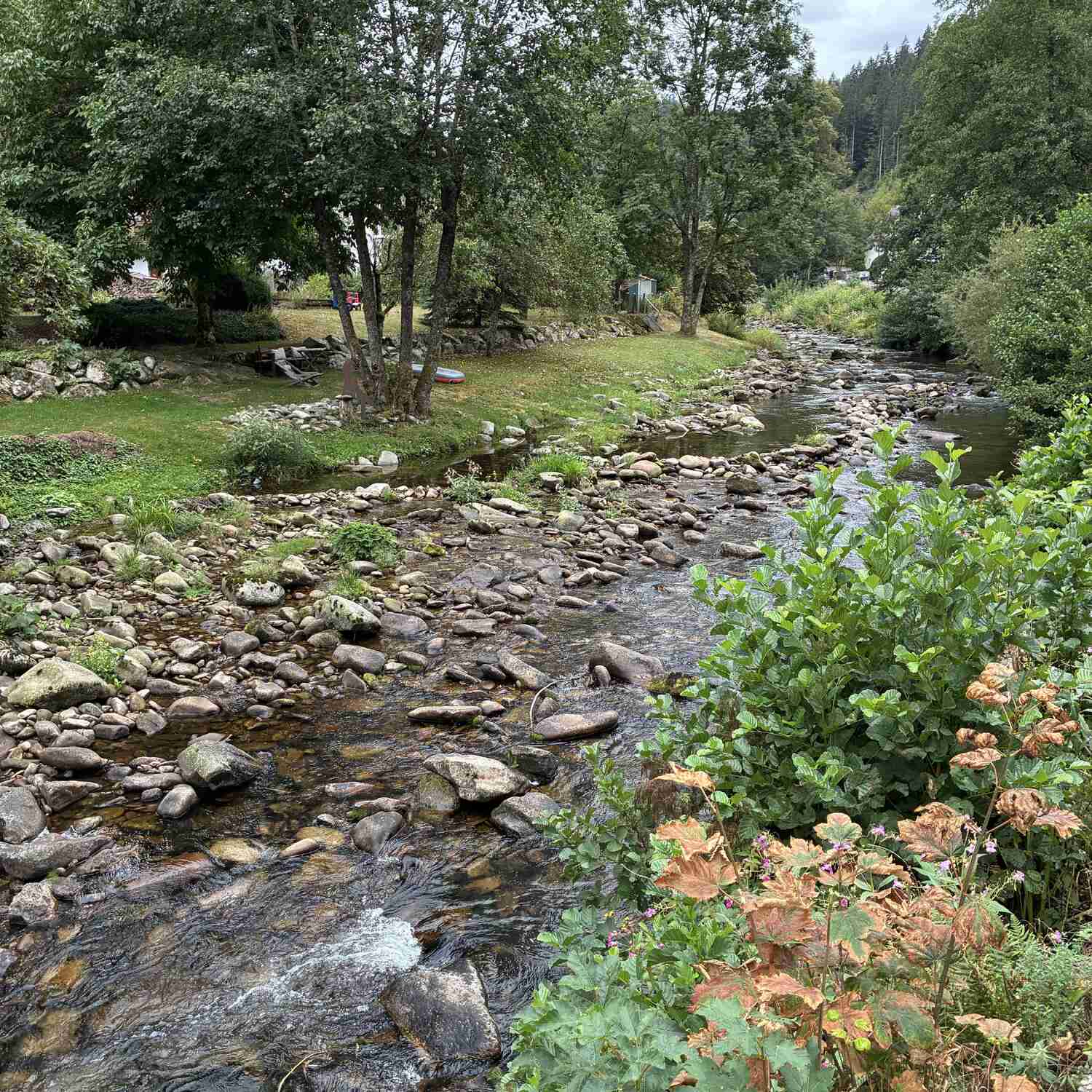 Schwarzwald-Wanderwochenende