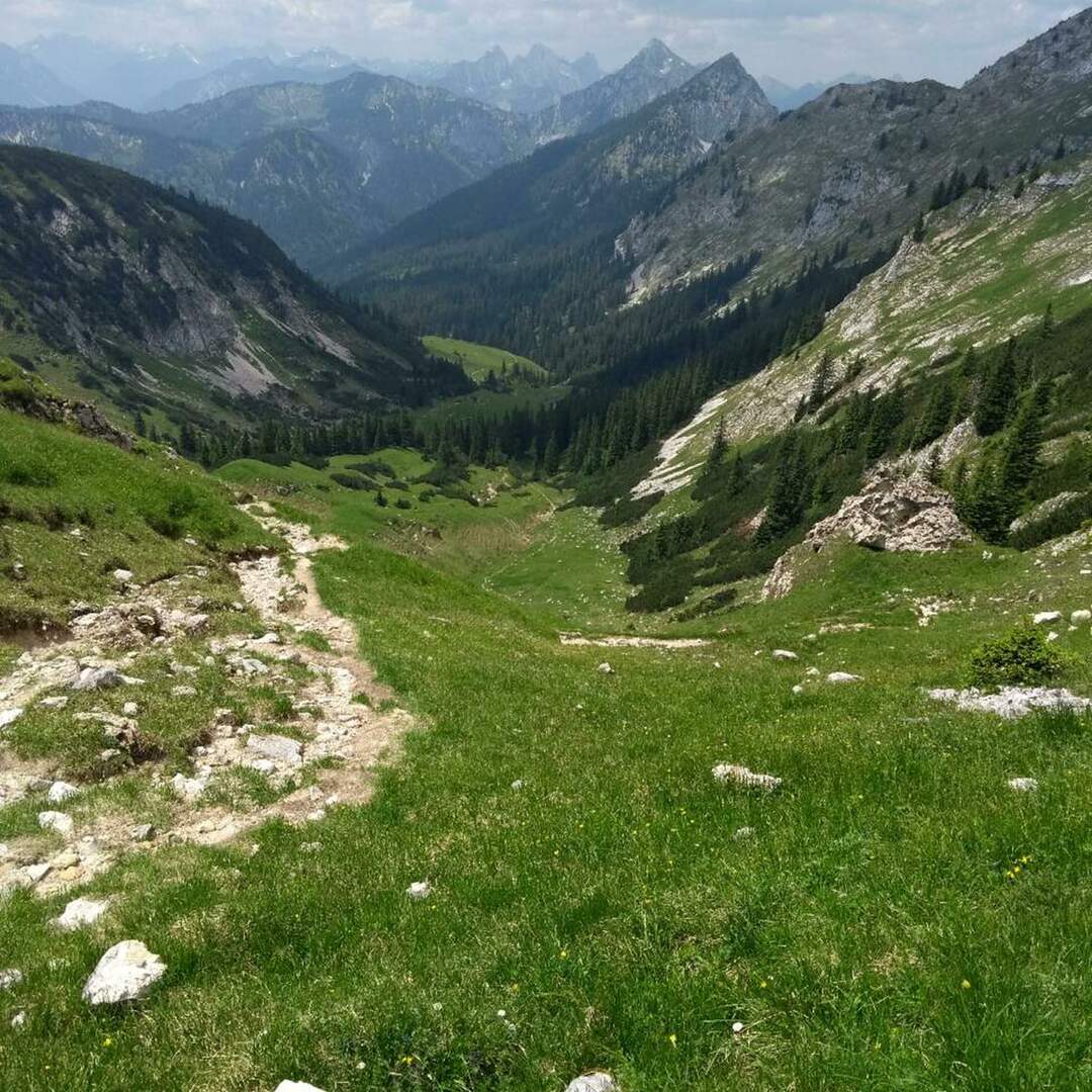 Ammerwald - Wellness & Wandern