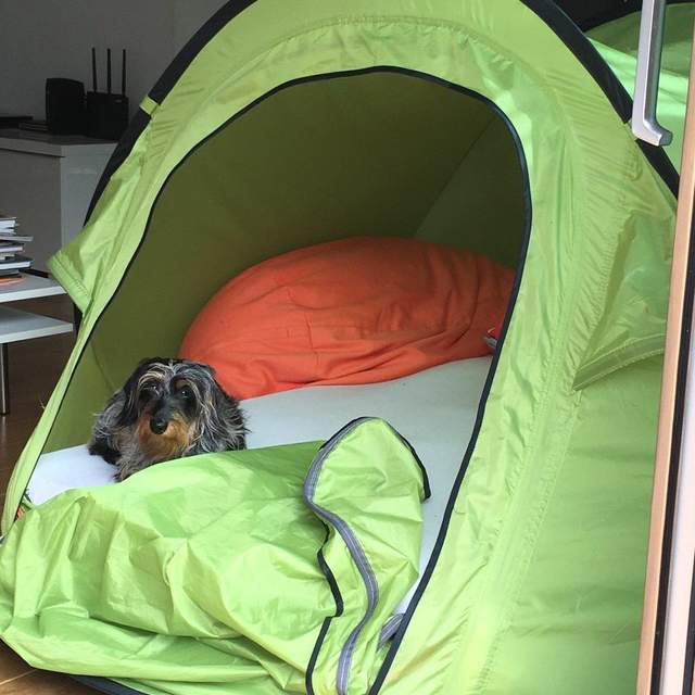 2016 Heidi Camping