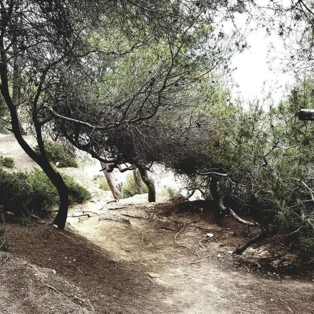 Frühling Spanien 2018