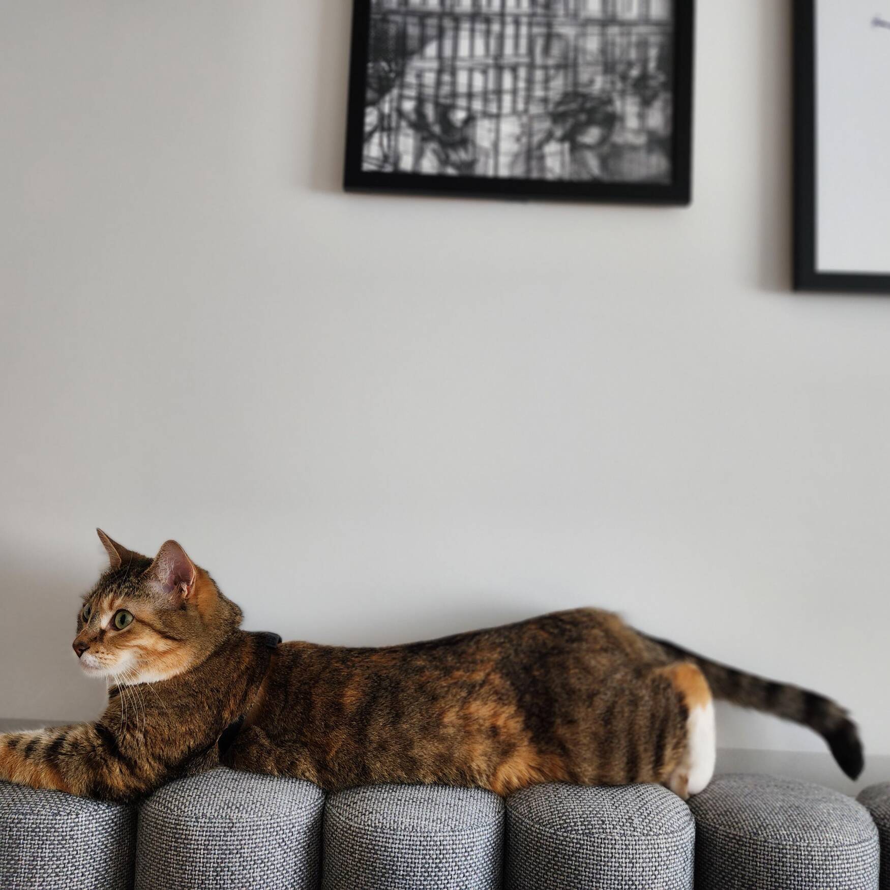 Pond skip and a jump