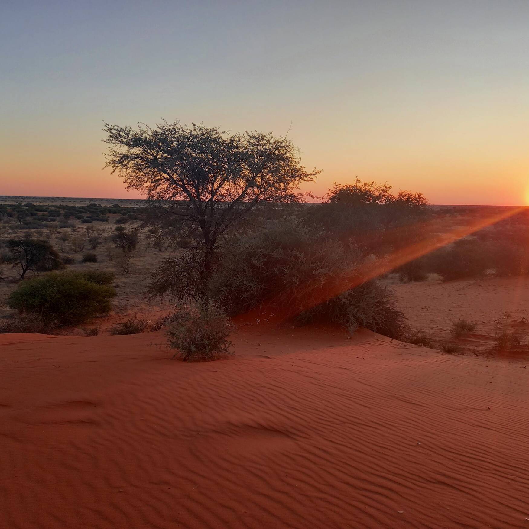 Namibia - Africa 2023