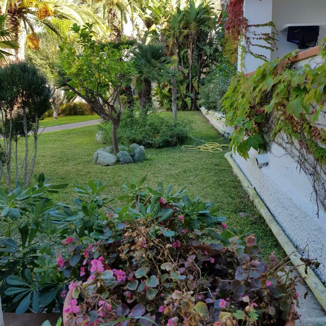 ISCHIA 2019