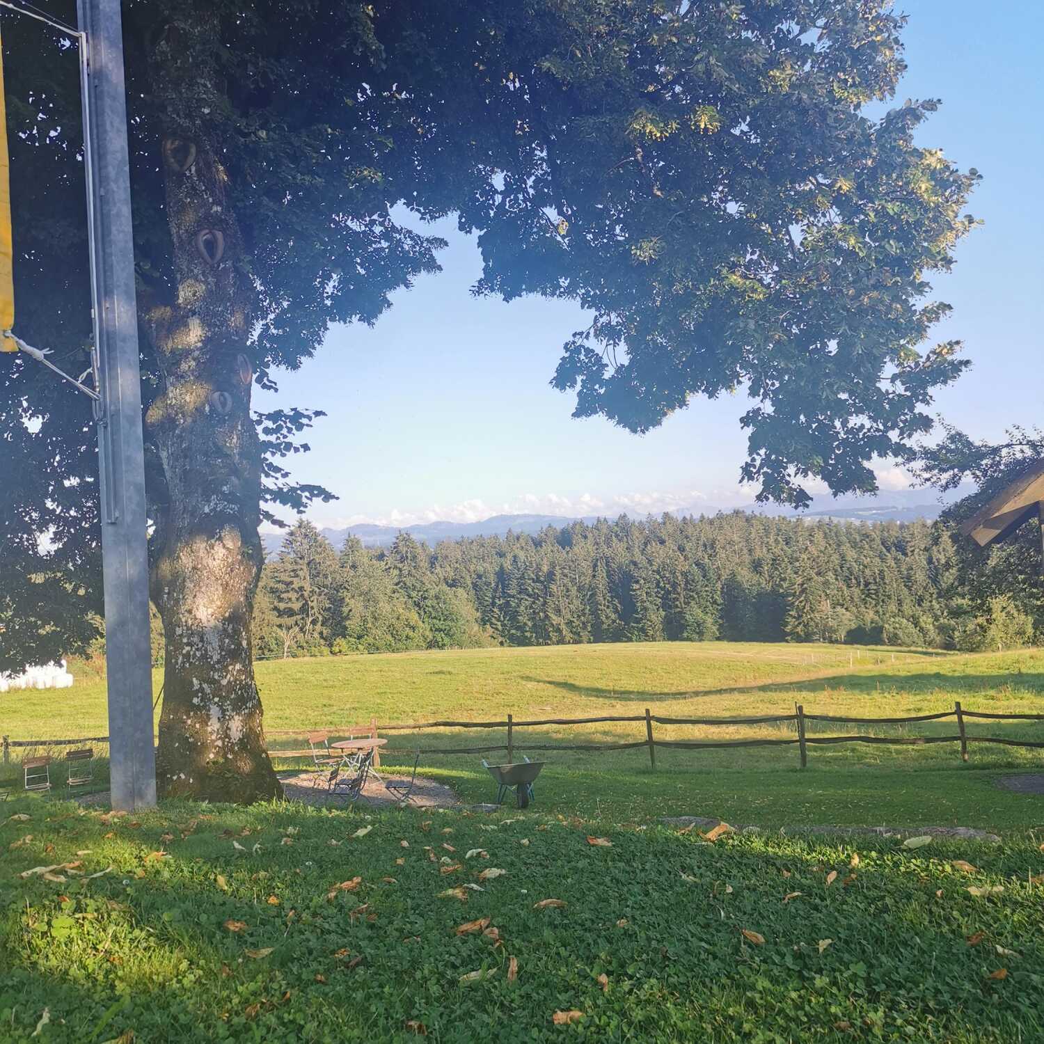 Allgäu