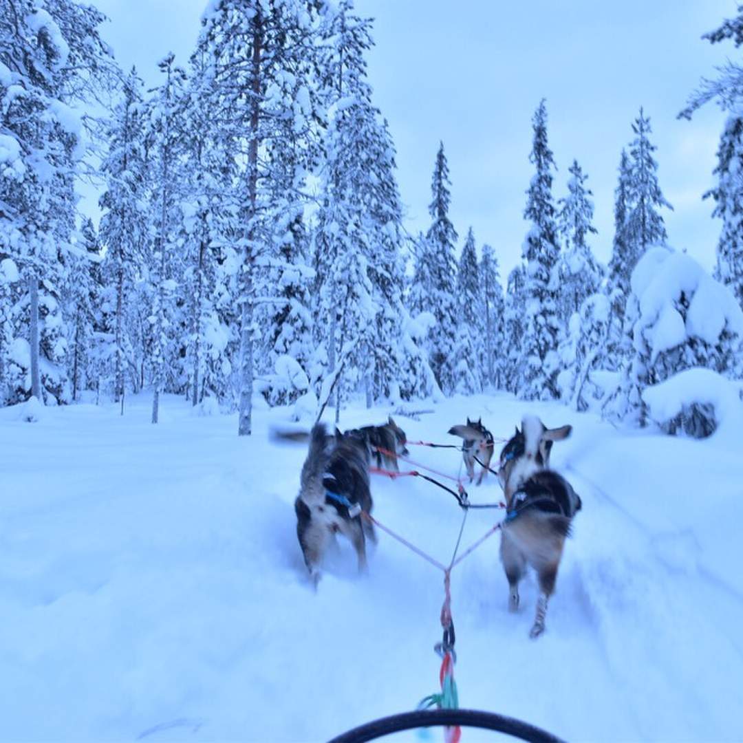 Lappland